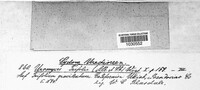Image Associated With the Occurence